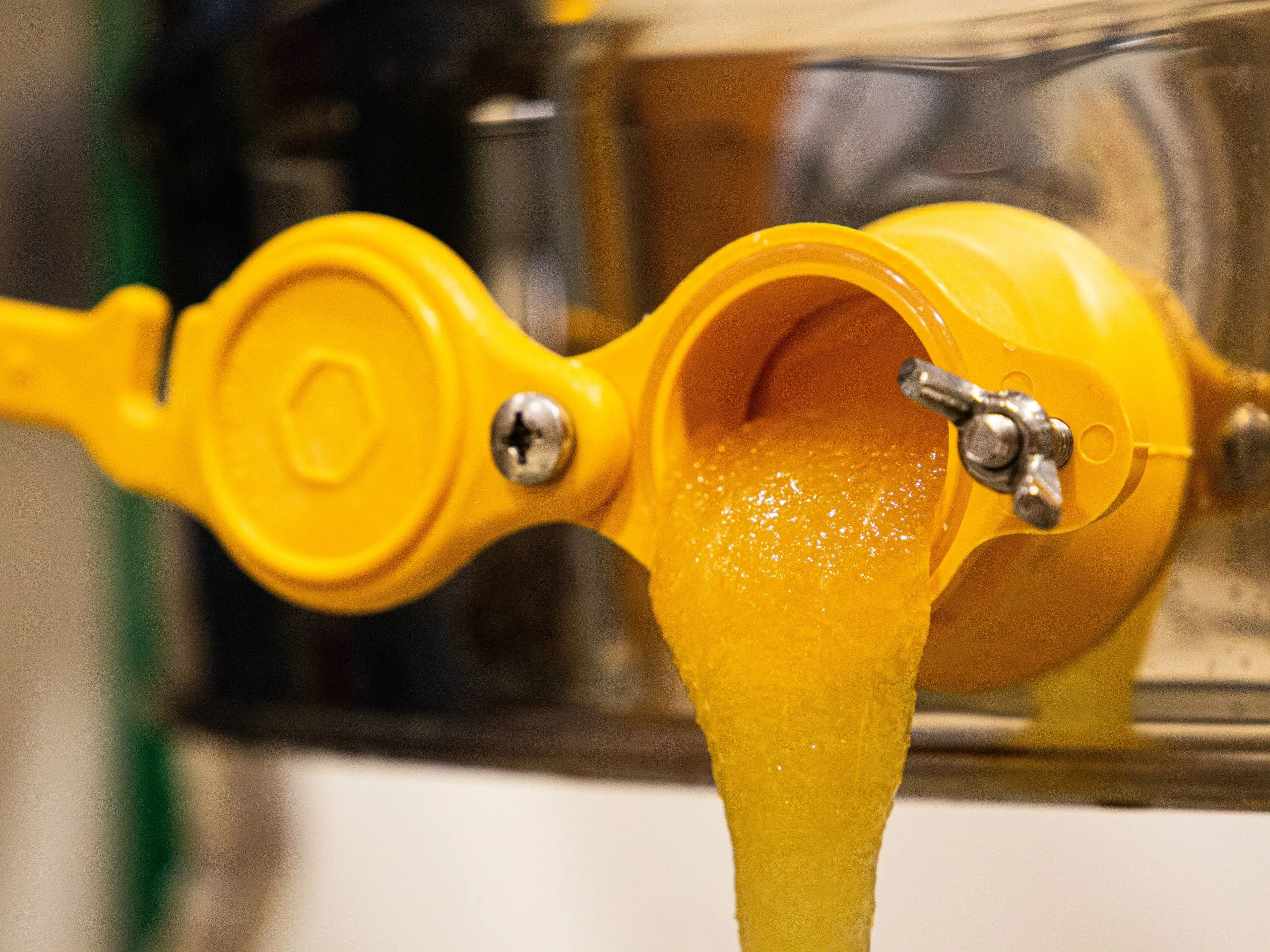 Illustration de: Réalisez votre miel grâce à l'extraction manuelle