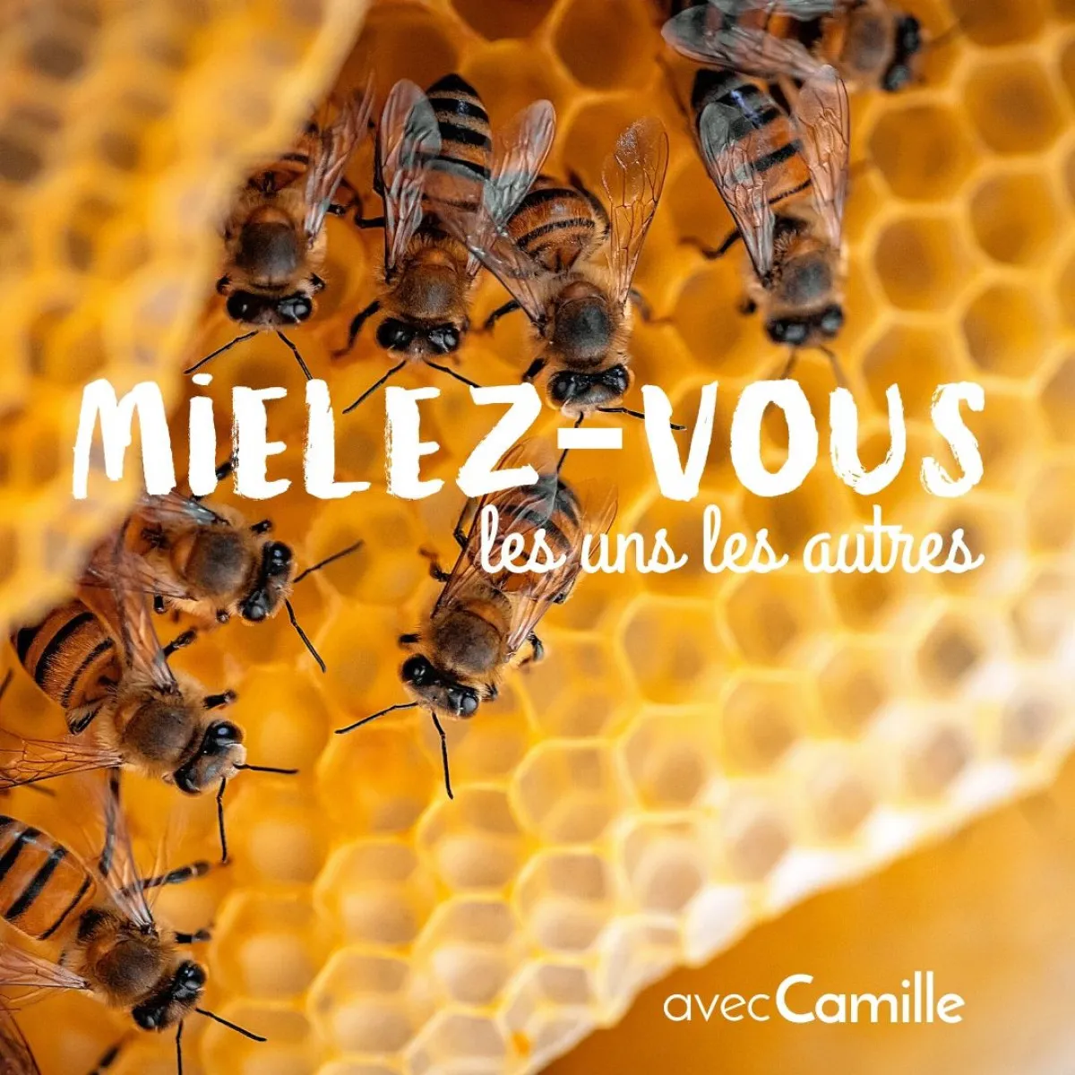 Illustration de: Découvrez l'apiculture