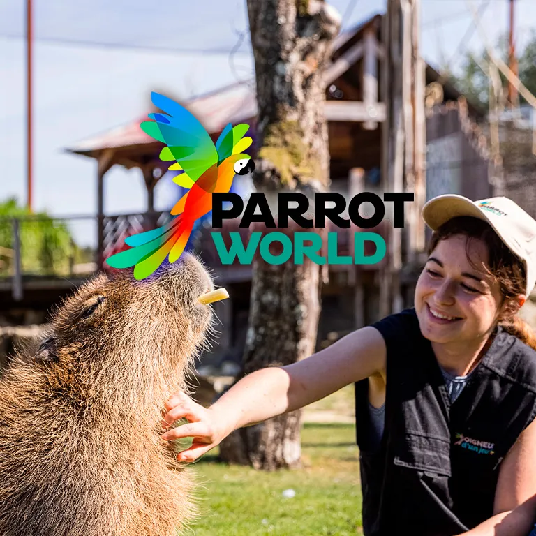 Illustration de: Parrot World : billets pour les expériences immersives