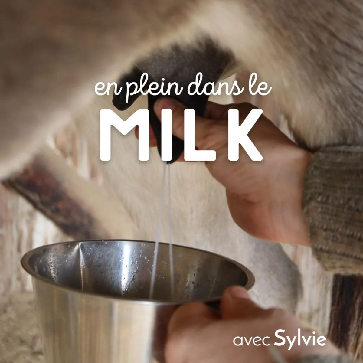 Illustration de: Fabriquez vos savons au lait d'ânesse