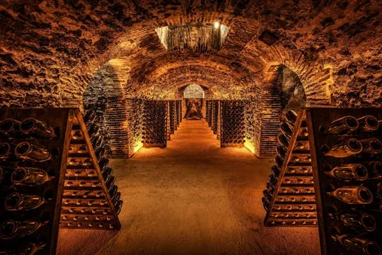 Illustration de: Visite de cave à la maison Champagne Boizel et dégustation Millésime