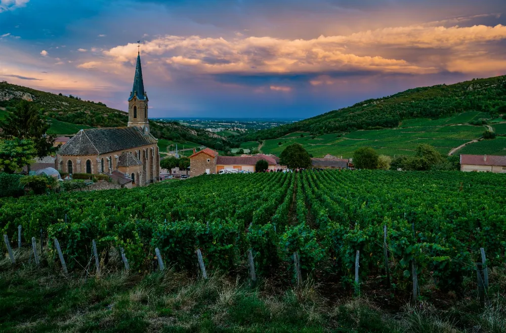 Illustration du guide: Les 15 meilleures activités à faire cet été Bourgogne Franche Comté