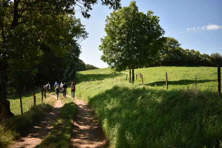 Illustration du guide: Les sentiers de randonnées du Grand Longwy