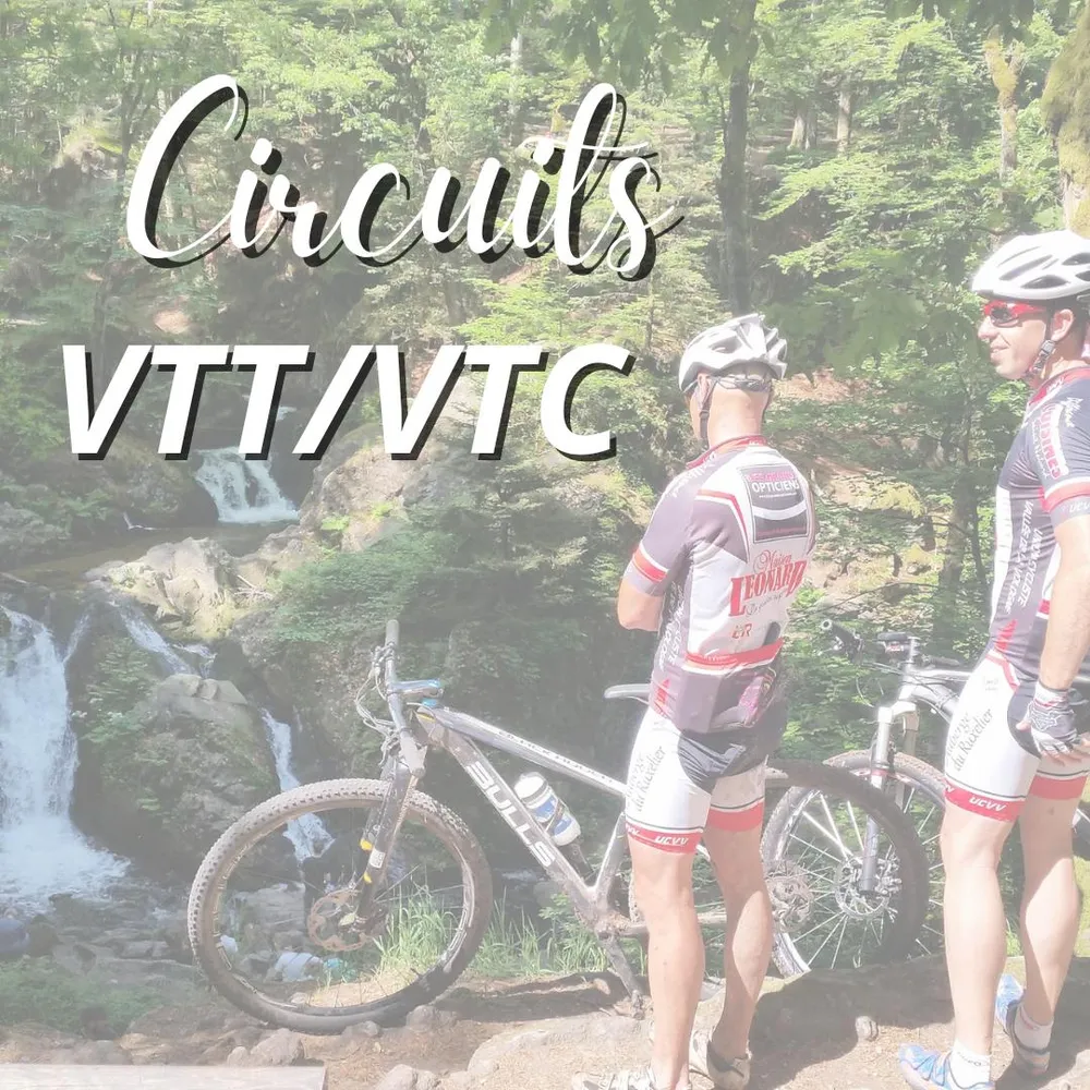 Illustration du guide: Top 5 des circuits VTT / VTC