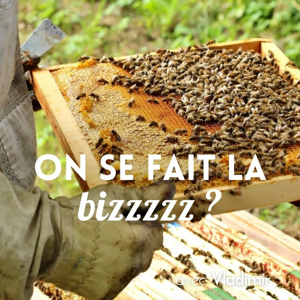 Image qui représente un ticket d'une activité (Découvrez l'univers de l'apiculture) liée au point d'intéret