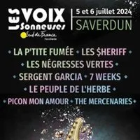 Image qui représente un ticket d'une activité (Les Voix Sonneuses Sud de France) liée au point d'intéret