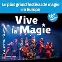 Image qui représente un ticket d'une activité (Festival International Vive la Magie 16ème Edition 2024) liée au point d'intéret