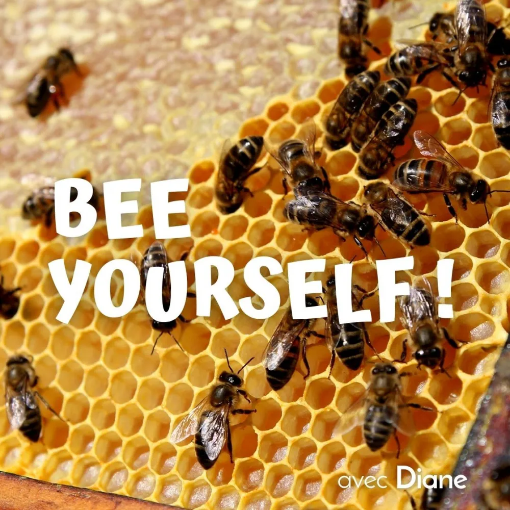 Image qui représente un ticket d'une activité (Initiez-vous à l'apiculture) liée au point d'intéret