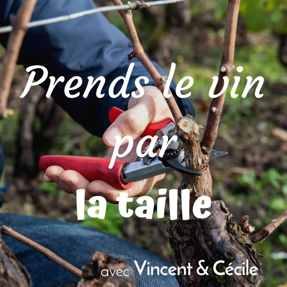 Image qui représente un ticket d'une activité (Apprenez à tailler la vigne et déguster le vin) liée au point d'intéret