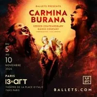 Image qui représente un ticket d'une activité (Carmina Burana, Szeged Contemporary Dance Company - Théâtre le 13ème Art, Paris) liée au point d'intéret