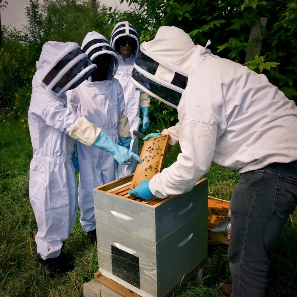 Image qui représente un ticket d'une activité (Découvrez l'apiculture en famille) liée au point d'intéret