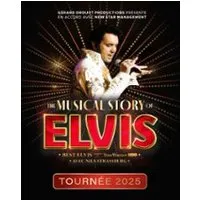 Image qui représente un ticket d'une activité (The Musical Story of Elvis) liée au point d'intéret
