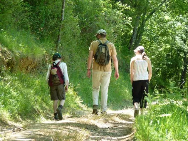 Image qui illustre: Caubios-loos : Chemin De Sainte-quitterie