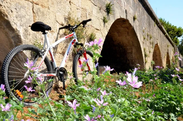 Image qui illustre: Autour du canal de Craponne à vélo à Arles - 0