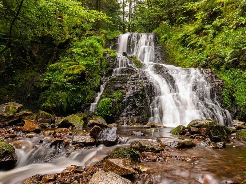 Image qui illustre: Balade De La Cascade De Creusegoutte à Gérardmer - 0