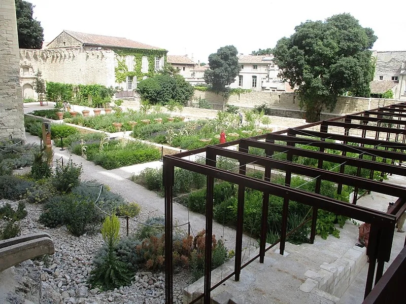 Image qui illustre: Les Jardins Du Palais Des Papes