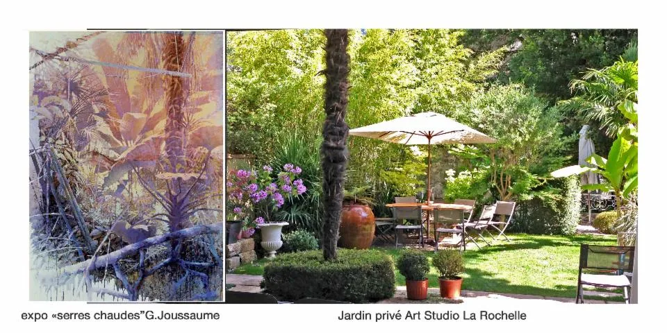 Image qui illustre: Découverte d'un jardin de peintre/expo