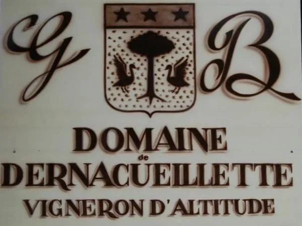 Image qui illustre: Domaine De Dernacueillette