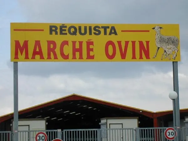Image qui illustre: Marché Ovin À Réquista