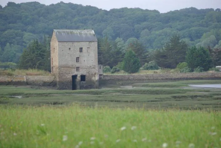 Image qui illustre: Visite guidée du moulin de Boschet