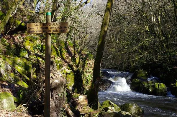 Image qui illustre: Sous les ombrages du Périgord Vert