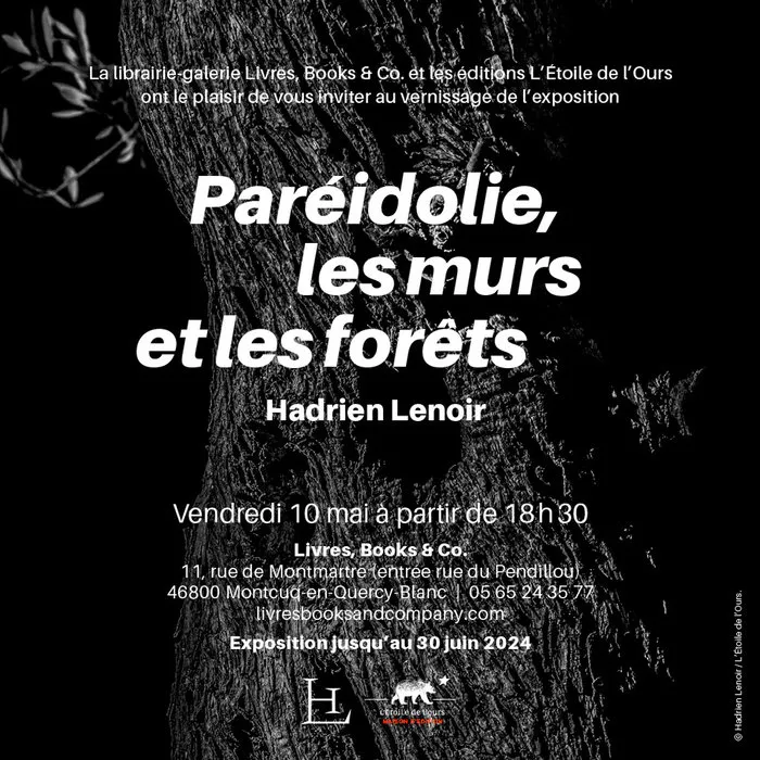 Image qui illustre: Exposition "pareidolie, Les Murs Et Les Forêts" à Montcuq-en-Quercy-Blanc - 0