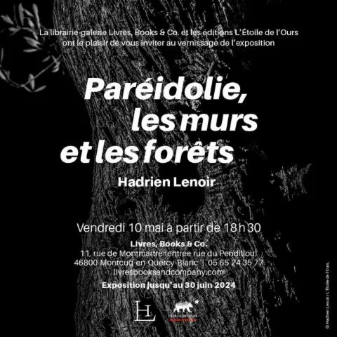 Image qui illustre: Exposition "pareidolie, Les Murs Et Les Forêts"