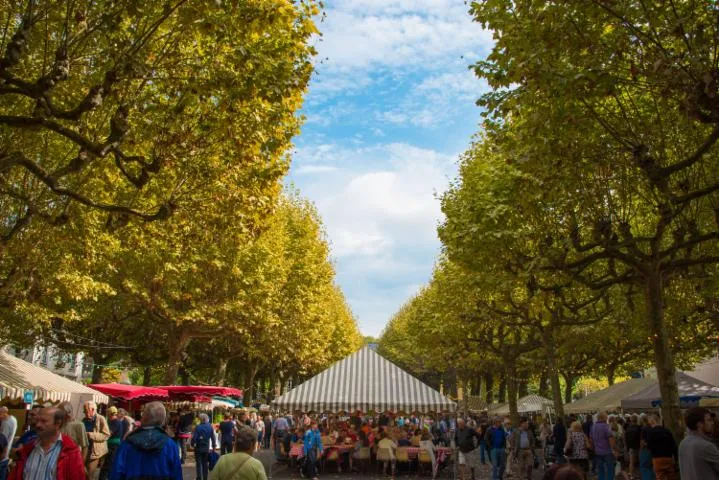 Image qui illustre: Journées Du Goût Et De La Gastronomie