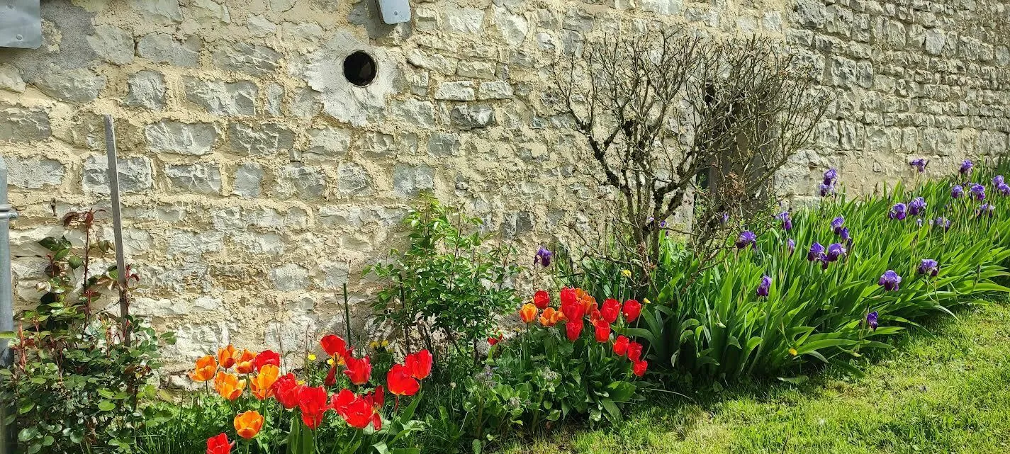 Image qui illustre: Découvrez le jardin du poète à Vézinnes - 0