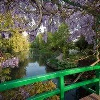 Image qui illustre: Maison et Jardins de Claude Monet à Giverny
