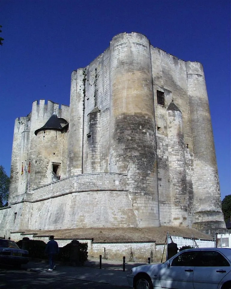 Image qui illustre: Musée du Donjon