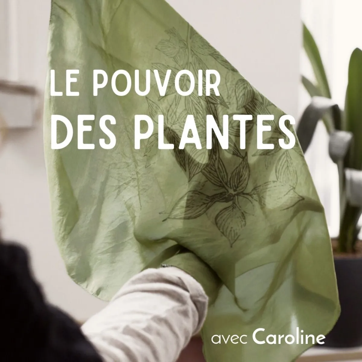 Image qui illustre: Initiez-vous à la teinture végétale sur soie à Paris - 0