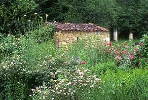 Image qui illustre: Les Jardins de l'Albarède