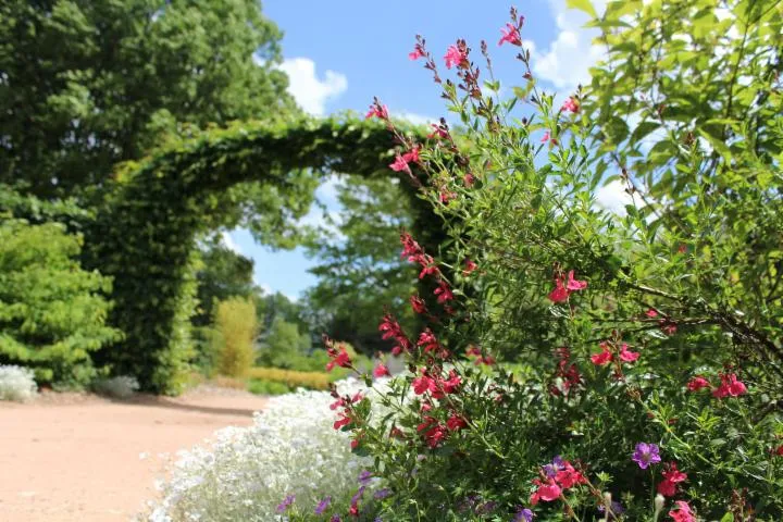 Image qui illustre: Parc Marcel Dassault