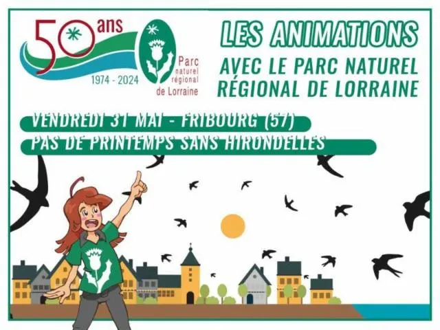 Image qui illustre: Pas De Printemps Sans Hirondelles / Animation Anniversaire Du Parc