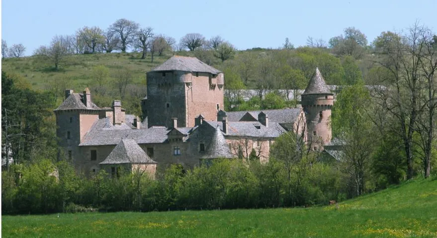 Image qui illustre: Château Des Bourines