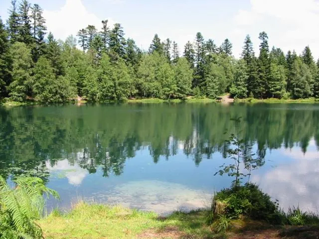 Image qui illustre: Lac De La Maix