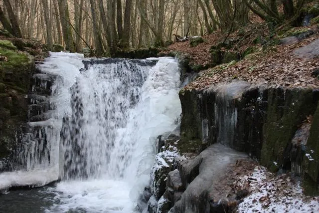 Image qui illustre: Cascade de l’Ours