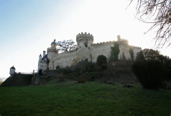 Image qui illustre: Château de Veauce