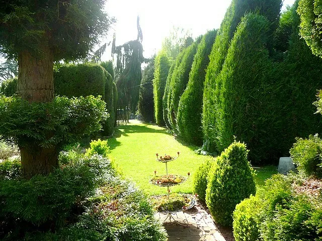 Image qui illustre: Visite guidée des Jardins de LY. à Senarpont - 0