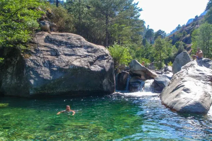 Image qui illustre: Gorges de la Restonica