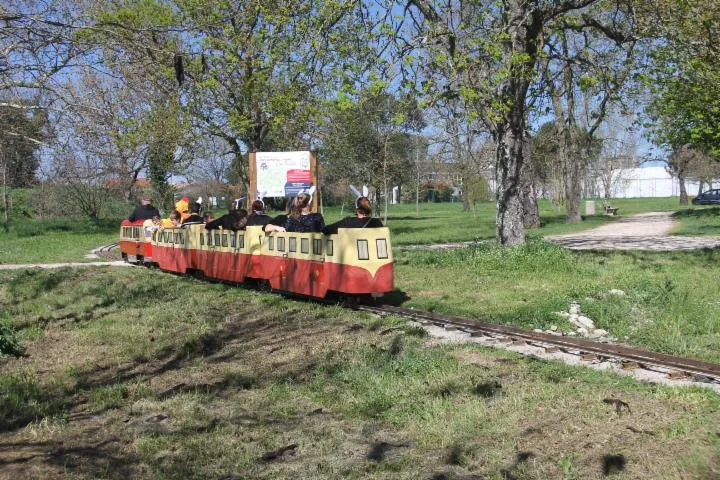 Image qui illustre: Balade à bord d'un petit train à vapeur !