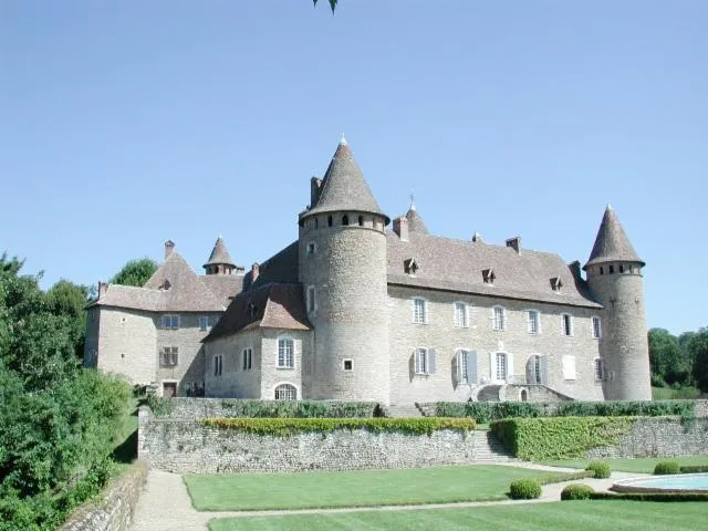 Image qui illustre: Château De Virieu