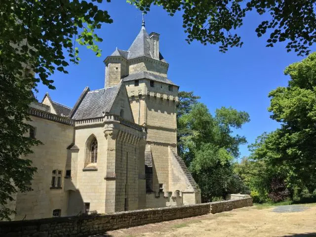 Image qui illustre: Visite guidée du château de Ternay
