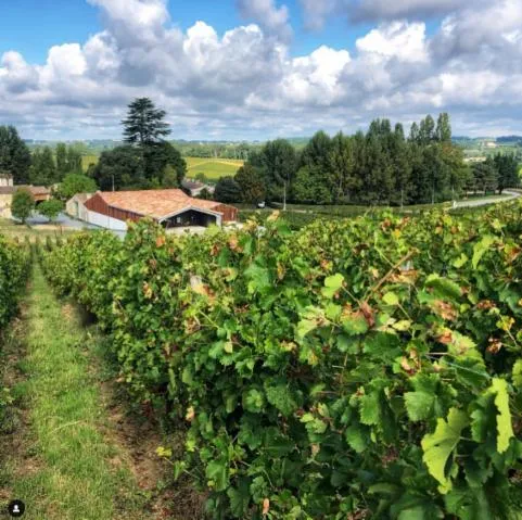 Image qui illustre: Château Rol Valentin