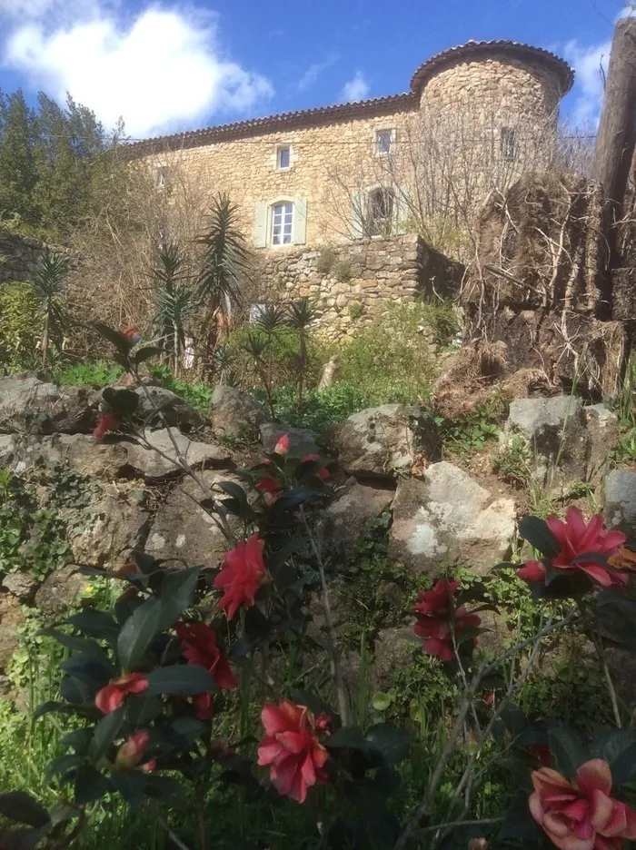Image qui illustre: Visite découverte des jardins du Château du Pin à Fabras - 0