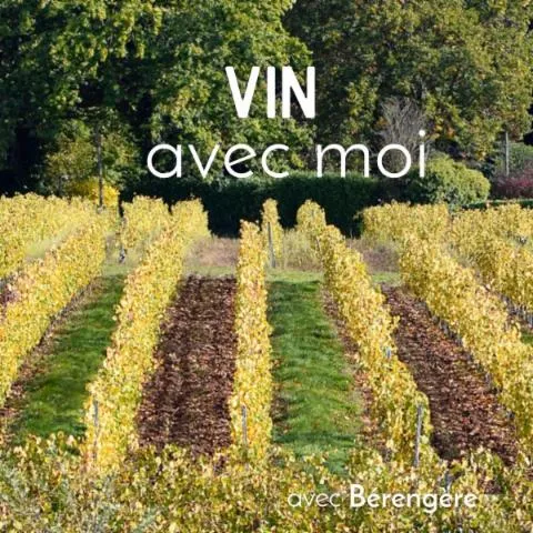 Image qui illustre: Dégustez des vins Beaujolais au sein d'un vignoble