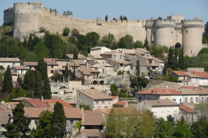 Image qui illustre: Château de Villeneuve les Avignon