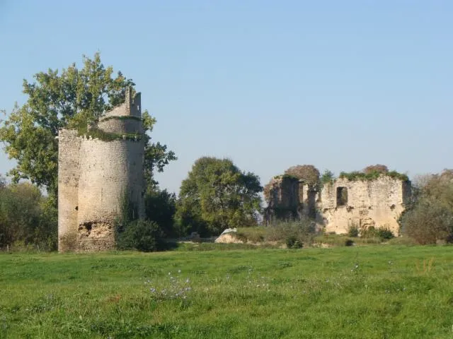 Image qui illustre: Le Château De Machecoul