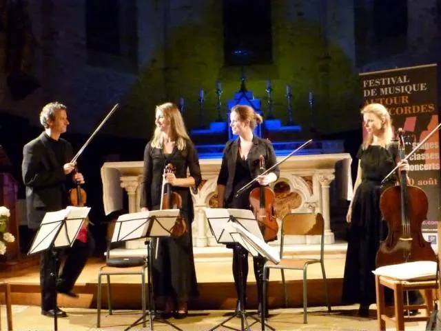 Image qui illustre: Festival Des Rencontres Musicales, Concert Au Château De Saint Dau